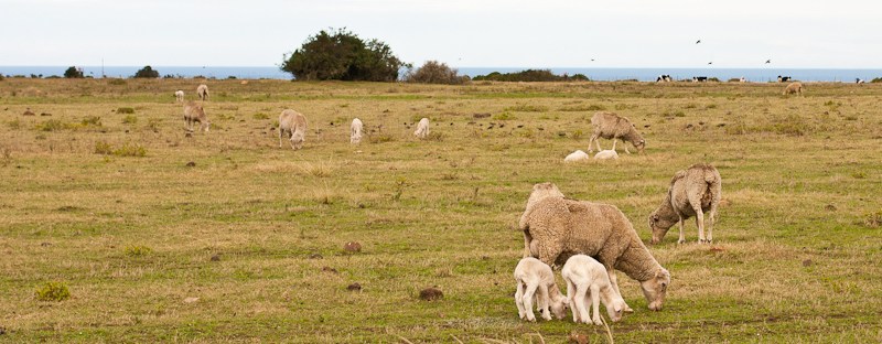 Western Cape landscape photography