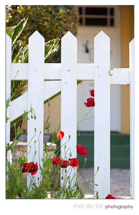 White picket fence & flowers, doorway