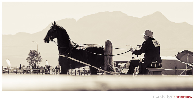 Horse & Buggy competition George agri fair