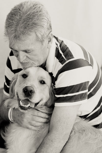 Golden retriever service dog pet photography south africa