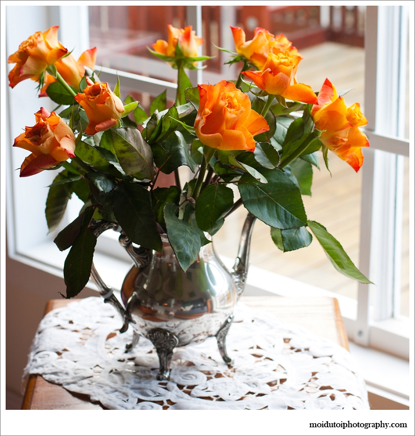 natural light orange roses