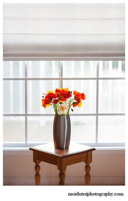 Poppies, window light