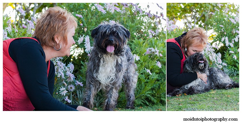 Cute Scruffy dog poses for photographs in Knysna