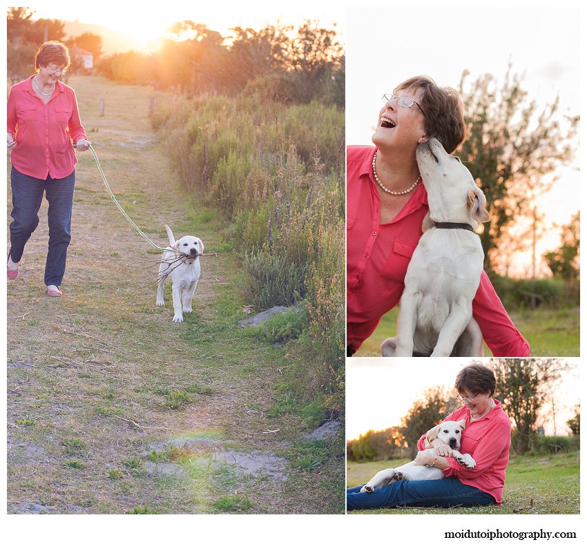 Puppy collage sunset