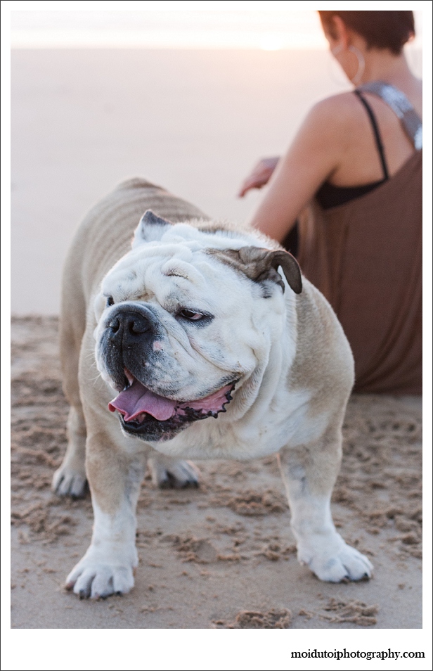 Bulldog Blog-5494