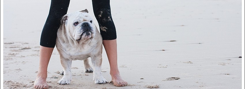 Bulldog on Myoli Beach
