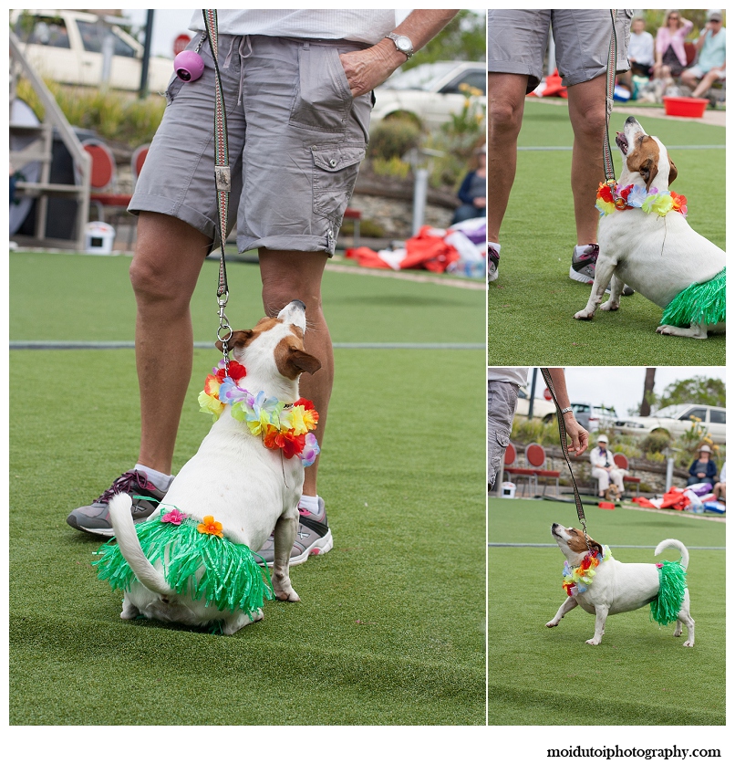 There were even hula hula girls...