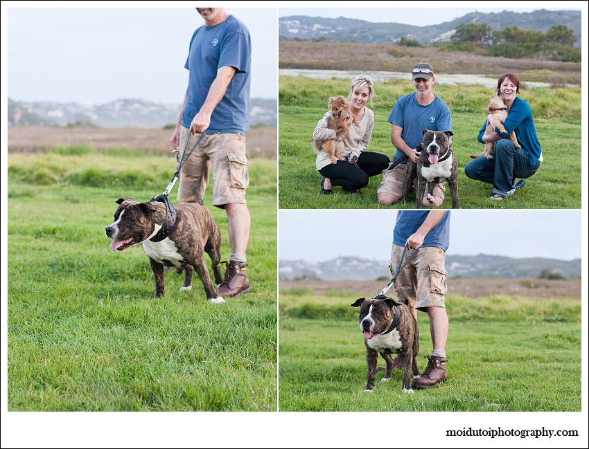 Group shot of dogs at sedgefield lagoon