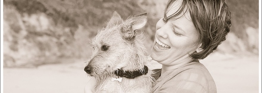 Dogs, beach, western Cape, pet photography