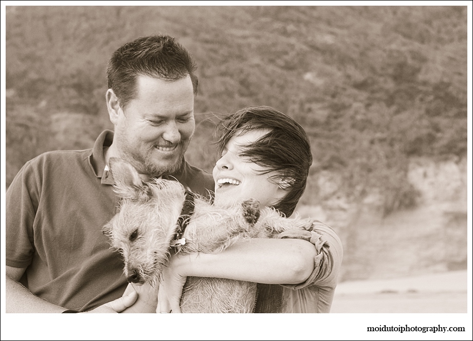 Dogs, beach, western Cape, pet photography