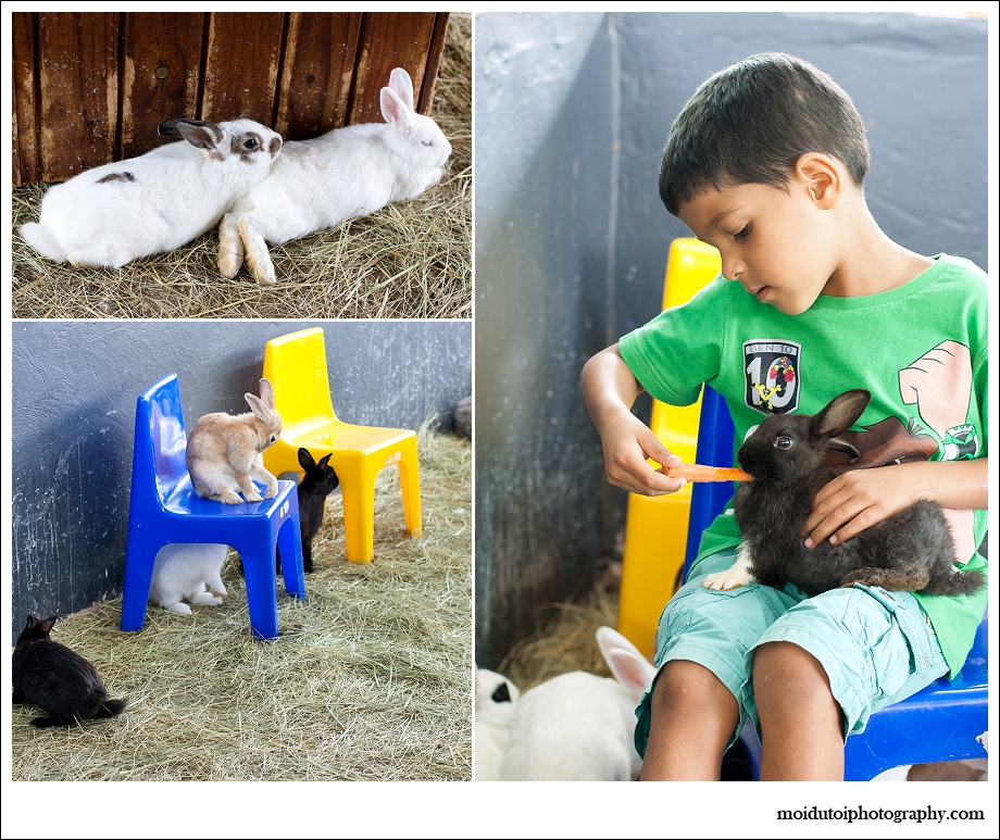 Natural light lifestyle portrait children, twin boys, moi du toi photography