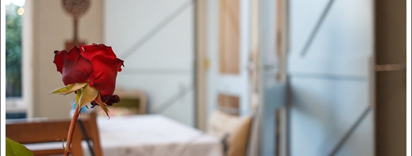 The Bayleaf Cafe George, Western Cape, moi du toi photography, restaurant, serendipity