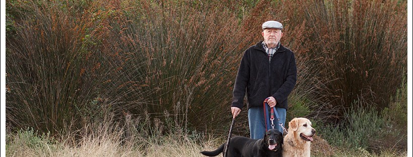 pet photography, pet photographer western cape, moi du toi photography, dog photos, golden retriever, sedgefield, online photography class