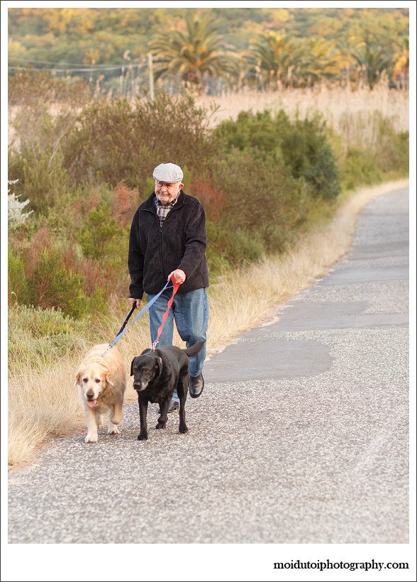 pet photography, pet photographer western cape, moi du toi photography, dog photos, golden retriever, sedgefield, online photography class