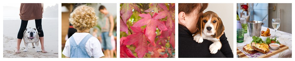 incrementalphotographer-5567