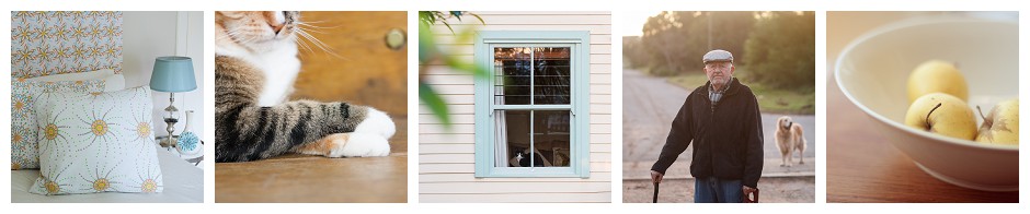 incrementalphotographer-9411