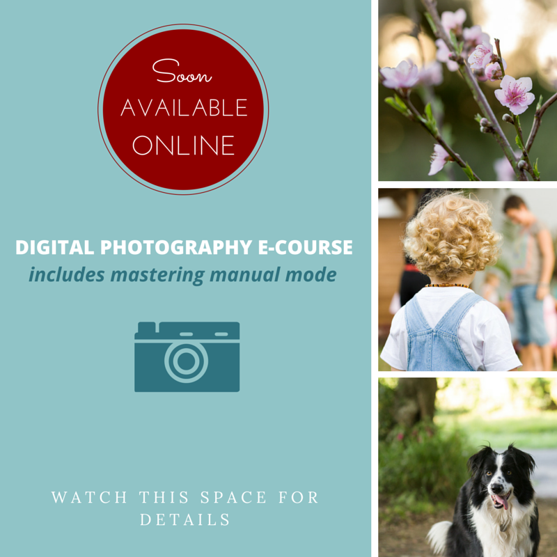 Online photography course, easy basic digital photography class, learn how to use your camera, learn to shoot in manual mode