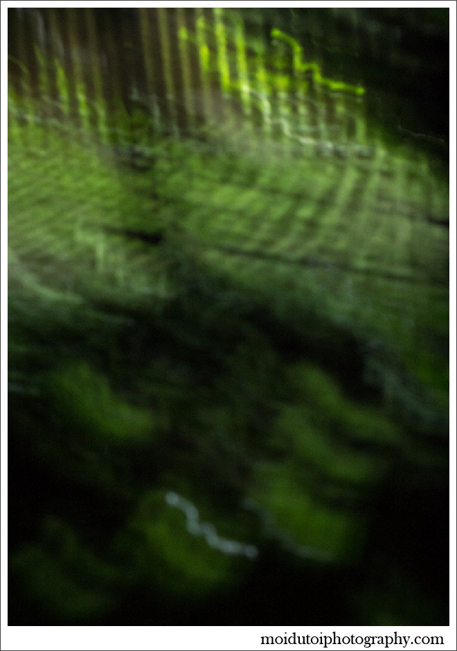 MIdsummers eve, fairies, wee folk, elementals