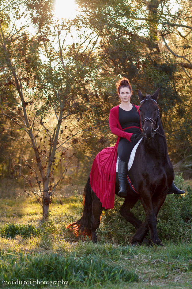 horse photography, moi du toi photography, South African animal photographer