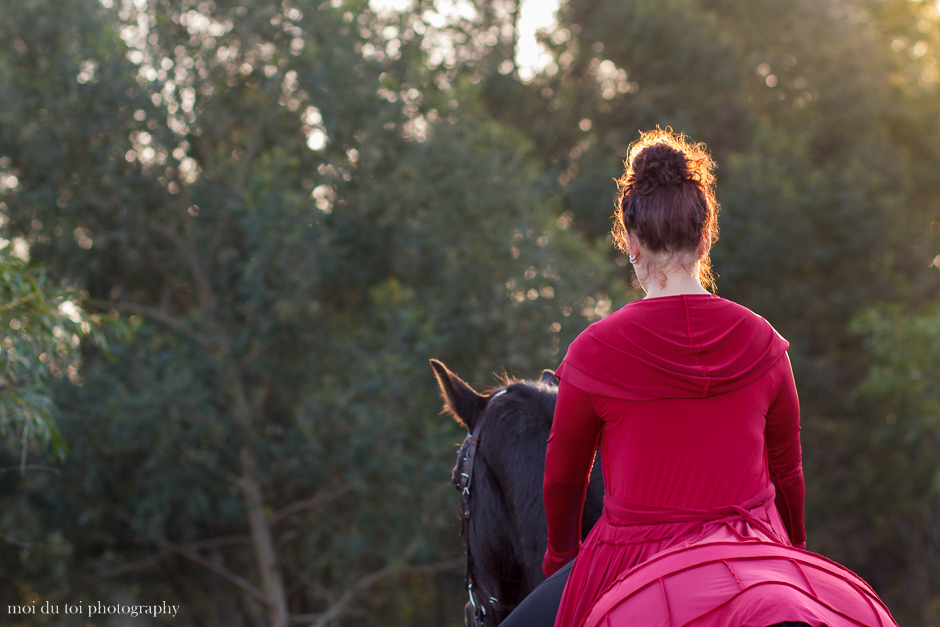 horse photography, moi du toi photography, animal photographer western Cape