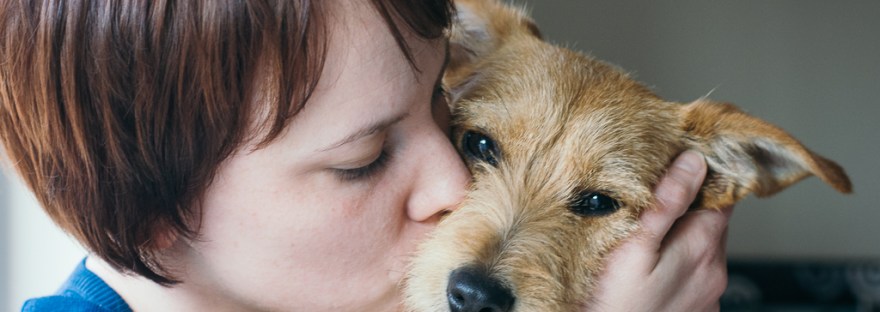 #moidutoiphotography #dogphotography #caninephotography #sedgefield photographer #knysna photogapher #george photographer #gardenroute photographer