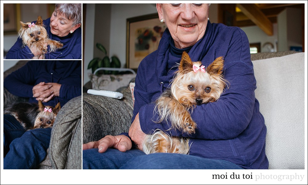 #yorkshireterrier #moidutoi #gardenroutephotographer