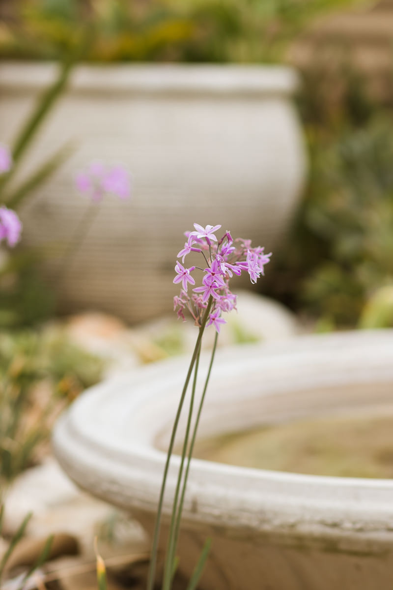 bnbphotography, holiday house photographer, holiday accommodation photography, airbnb photographs, sedgefield photographer