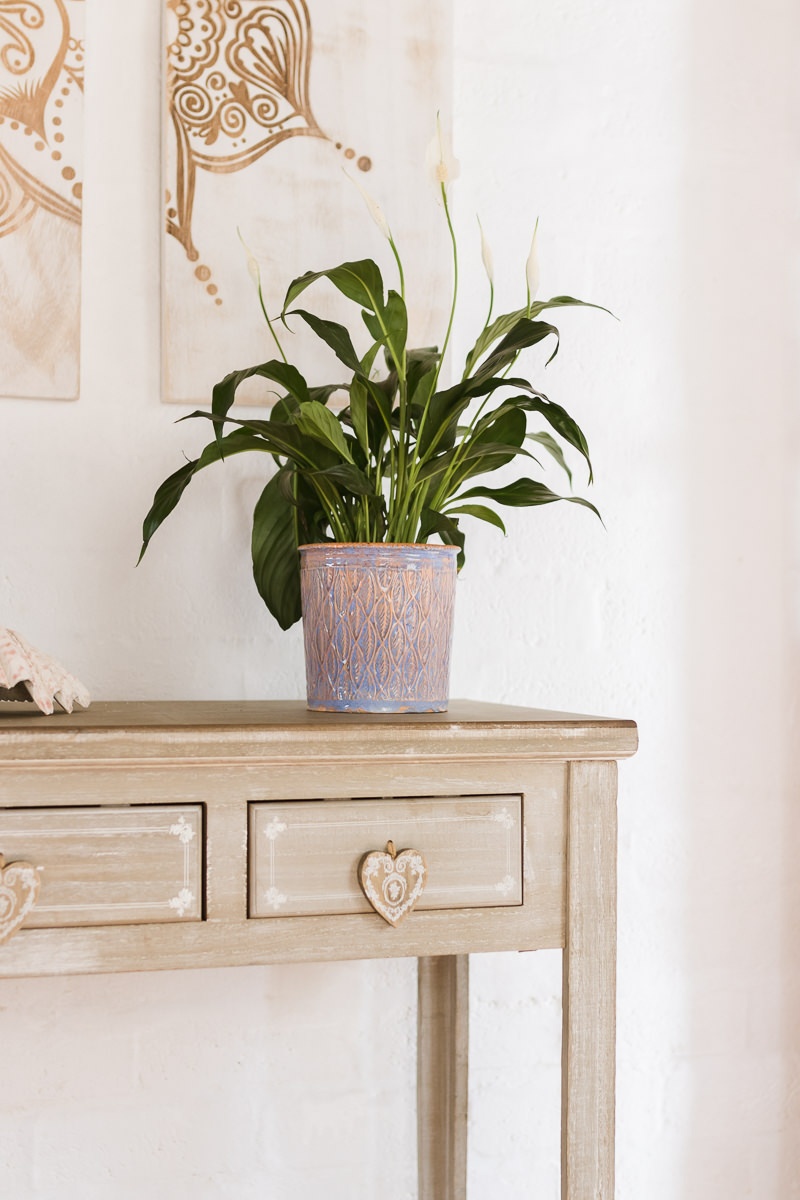 bnbphotography, holiday house photographer, holiday accommodation photography, airbnb photographs, sedgefield photographer