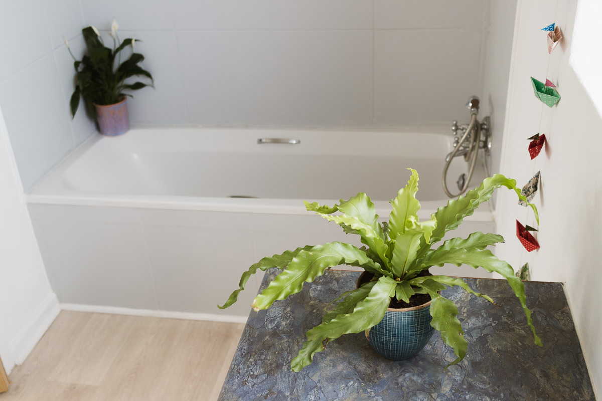 bnbphotography, holiday house photographer, holiday accommodation photography, airbnb photographs, sedgefield photographer