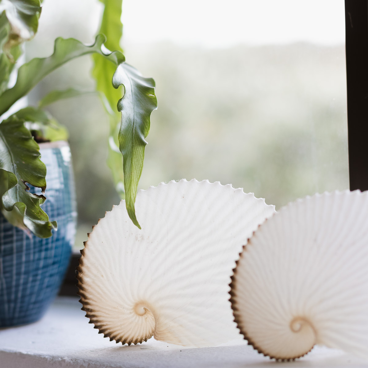 bnbphotography, holiday house photographer, holiday accommodation photography, airbnb photographs, sedgefield photographer