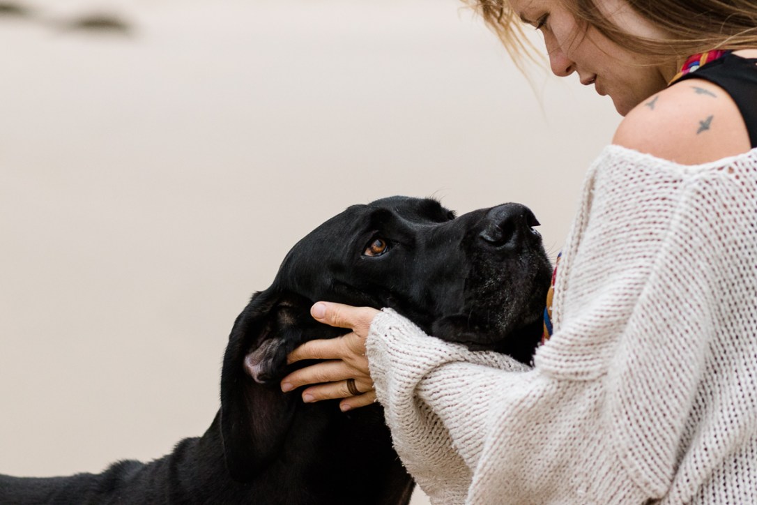 Pet photo shoot Myoli beach Sedgefield with garden route photographer moi du toi photography