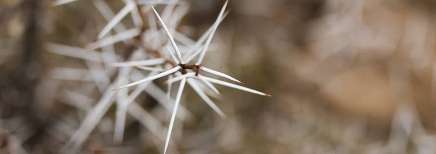 Karoo, moi du toi photography, sedgefield photographer