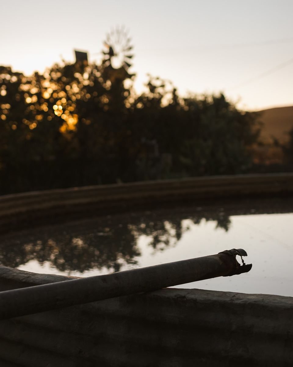 Karoo, moi du toi photography, sedgefield photographer