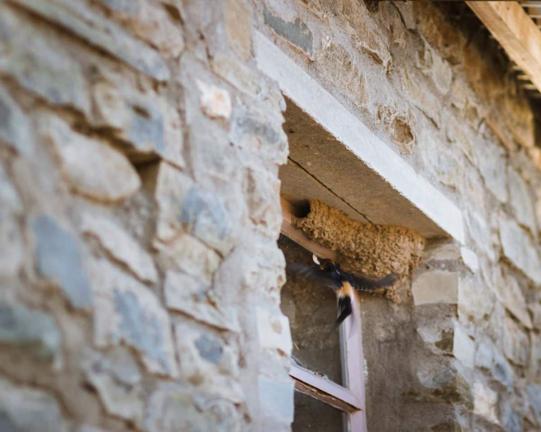 Karoo, moi du toi photography, sedgefield photographer