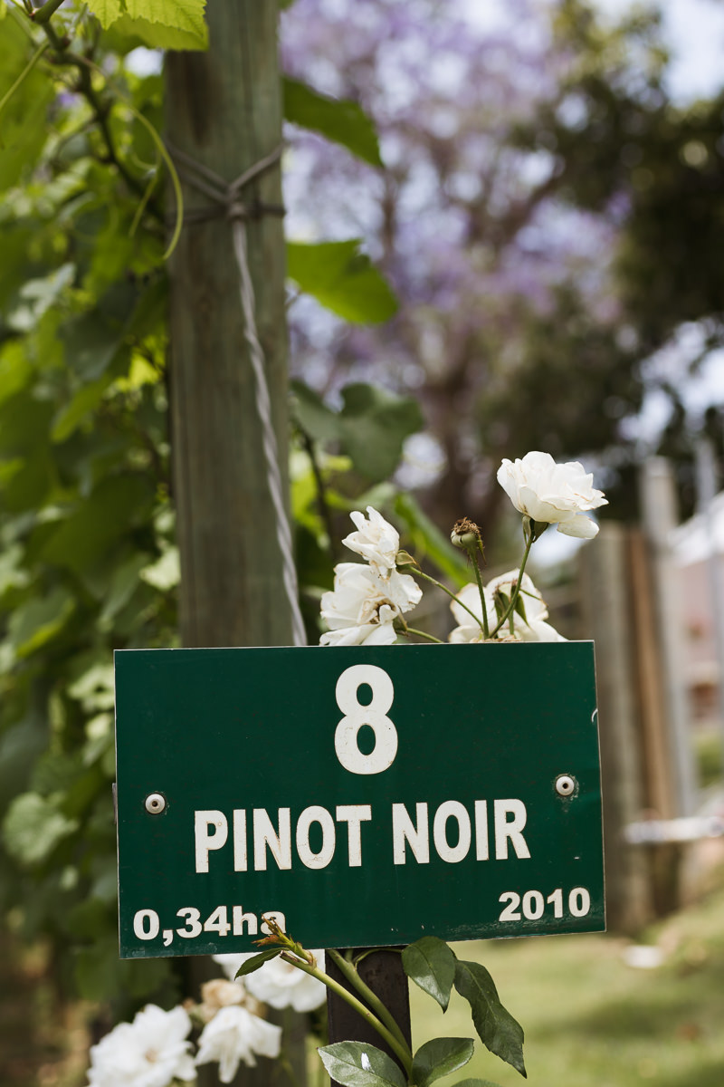 Karoo, moi du toi photography, sedgefield photographer