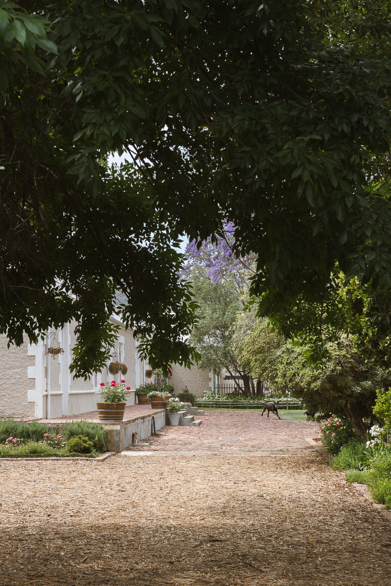 Karoo, moi du toi photography, sedgefield photographer