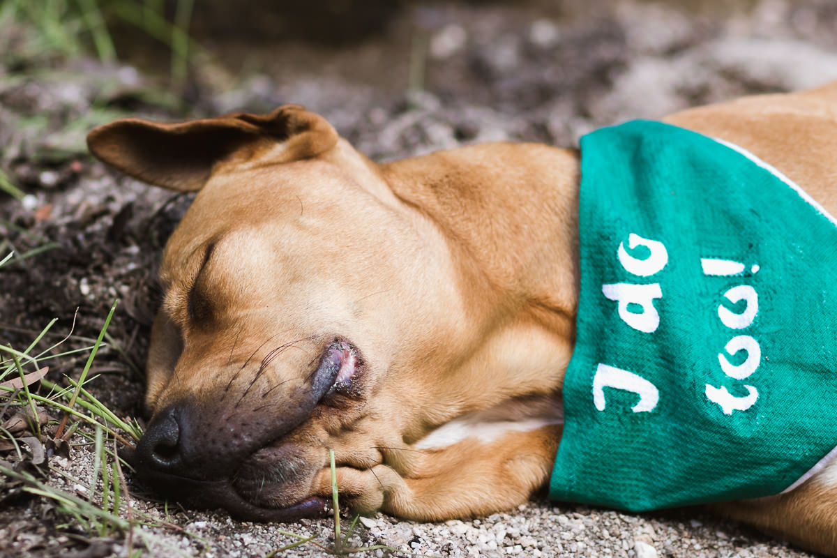 outdoor weddings photos taken near a river at Hoekwil Garden Route during a wedding shoot with moi du toi photography
