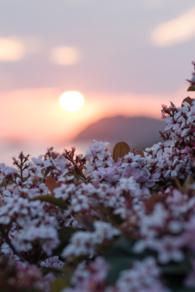Sunset over the sea view from Cola Beach guest house sedgefield